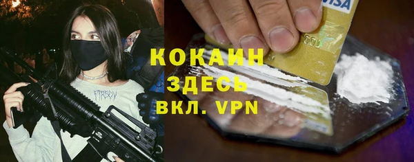 соль ск Алексин