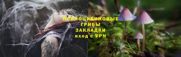 соль ск Алексин