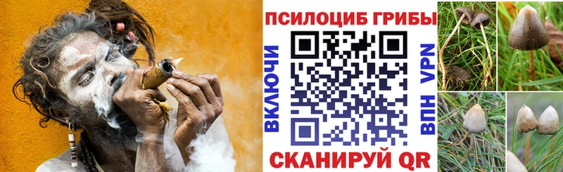 darknet клад  Дрезна  Галлюциногенные грибы мухоморы 